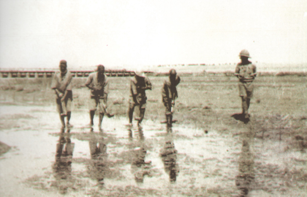 الأنفار اثناء عمليات مكافحة الملاريا في المستنقعات والبكر، 1917